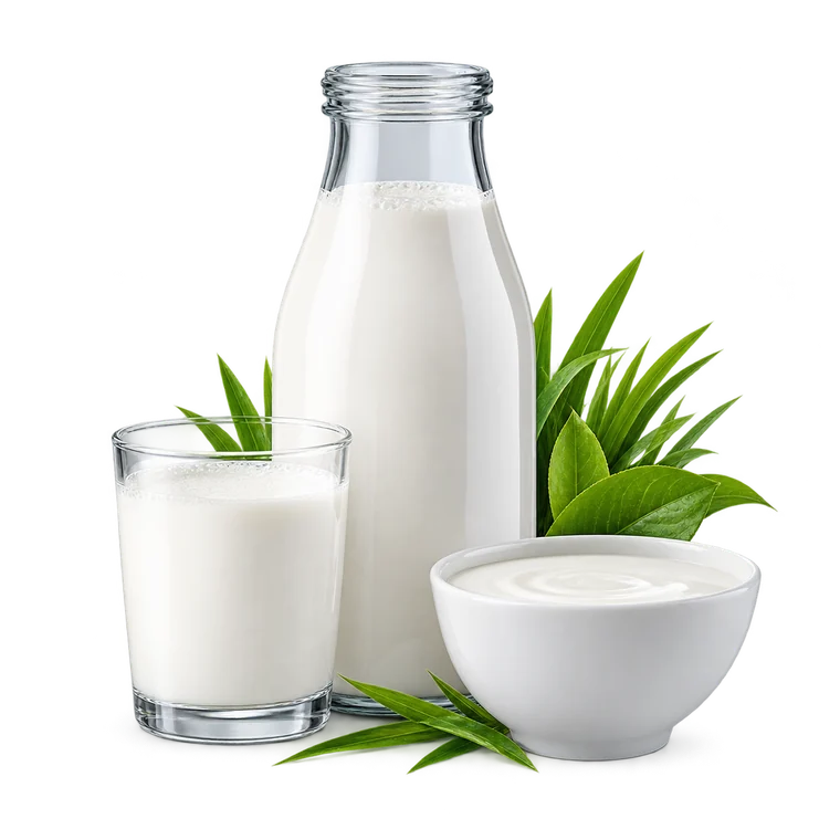 Fresh milk bottle and glass
